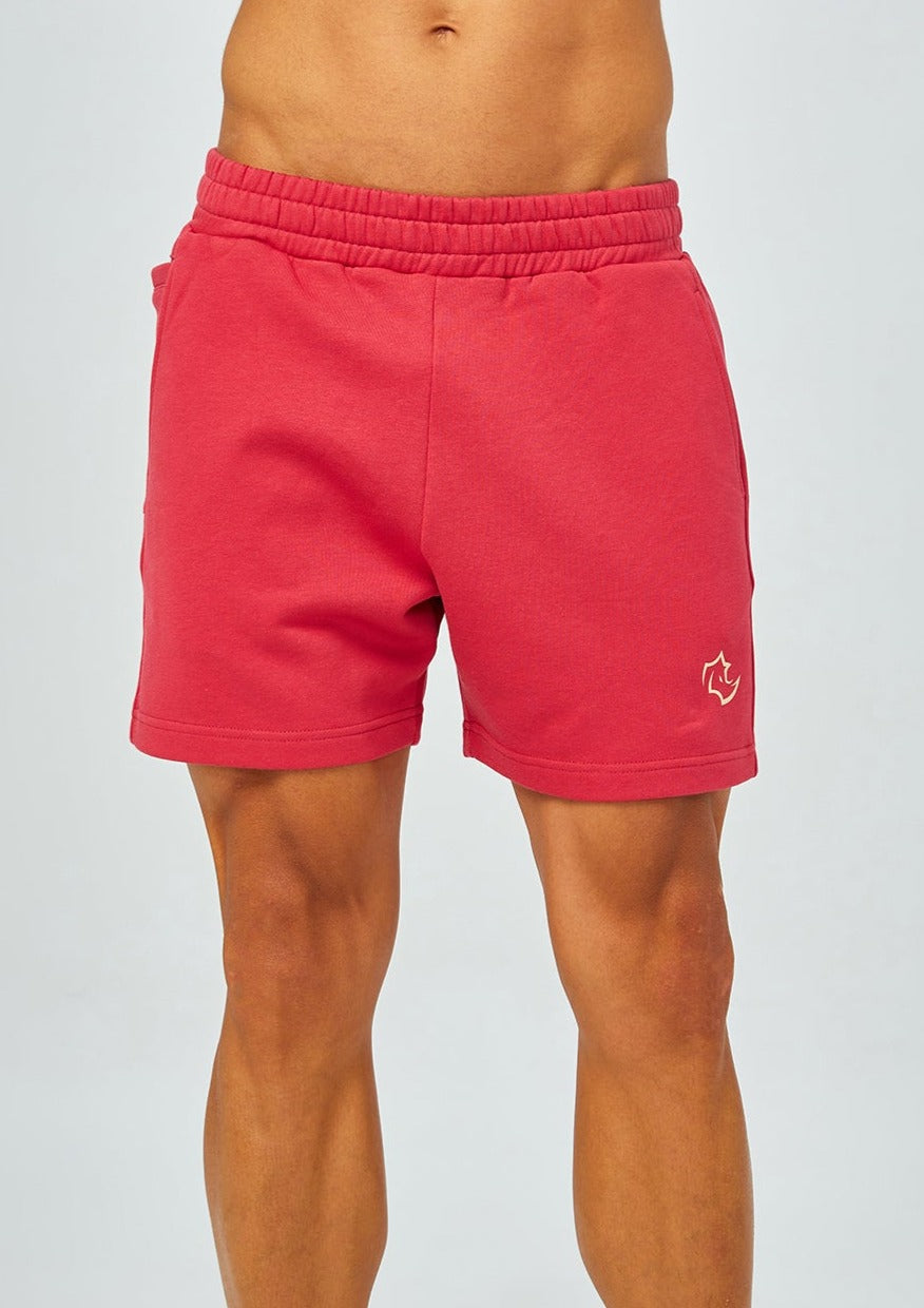 Shapewreck Signature Shorts PRIMARY SHORTS